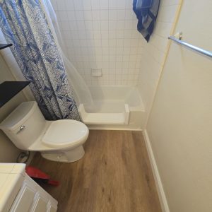 Bathroom Remodel with Accessibility Features in Galt